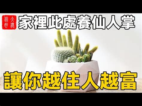 仙人掌防小人擺放位置